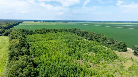 0 N Gray Rd, Des Arc, AR 72040 photo 22