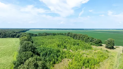 0 N Gray Rd, Des Arc, AR 72040 photo 16