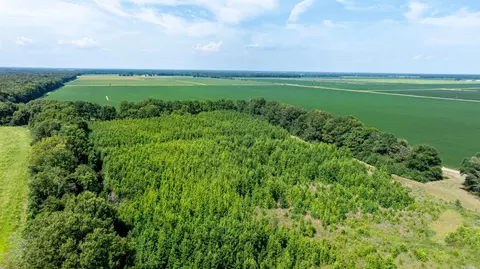 0 N Gray Rd, Des Arc, AR 72040 photo 22