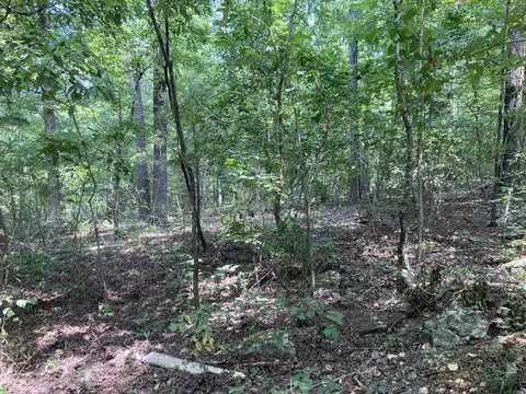 Exterior - 8766 Nine Mile Ridge Rd, Hardy, AR 72542 photo 8 of 9