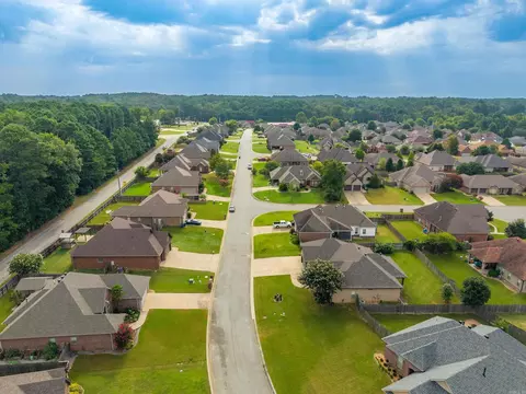 View/Area - 6312 Pierce Manse Loop, Benton, AR 72019 photo 6 of 6