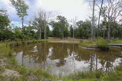 28 Mason, Amity, AR 71921 photo 41