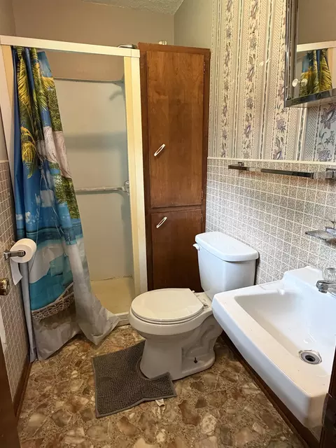 Bath - 439 Haley St, Melbourne, AR 72556 photo 2 of 2