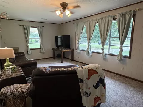 Other - 439 Haley St, Melbourne, AR 72556 photo 1 of 6