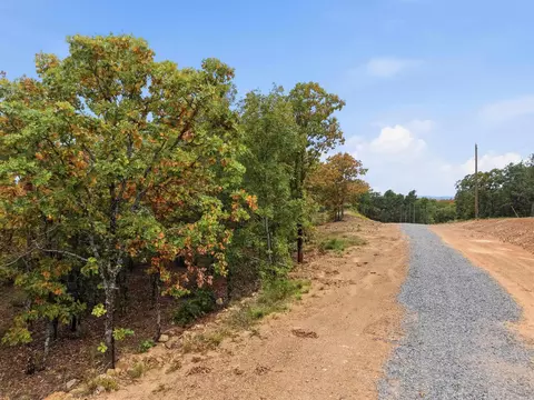11 Sierra Sunset Cv, Conway, AR 72032 photo 3