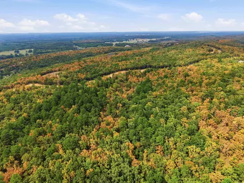 17 Sierra Sunset Cv, Conway, AR 72173 photo 7