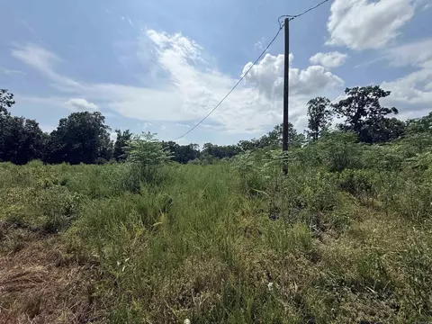 tbd Copperhead Dr, Magnet Cove, AR 72104 photo 2
