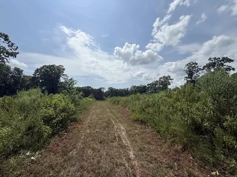 tbd Copperhead Dr, Magnet Cove, AR 72104 photo 3