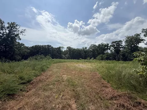 tbd Copperhead Dr, Magnet Cove, AR 72104 photo 4