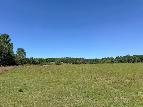 80 Herring Rd, Quitman, AR 72131 photo 5