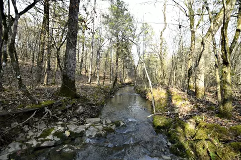 2 Polk Road 95, Mena, AR 71953