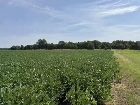 000 E Posey Rd, Wheatley, AR 72392 photo 50