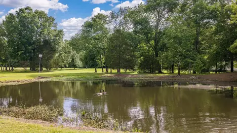 View/Area - 13 Agarita Cv, Conway, AR 72032 photo 3 of 3