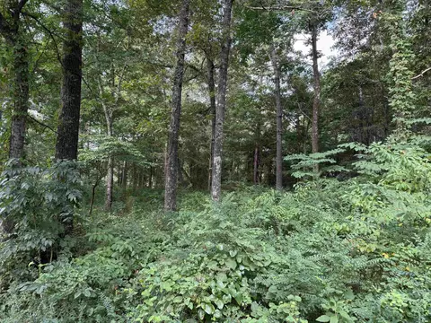 16 Camp Rd, Melbourne, AR 72556 photo 3