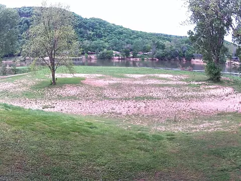 View/Area - 892 N Riverview Ln, Mountain View, AR 72560 photo 3 of 5