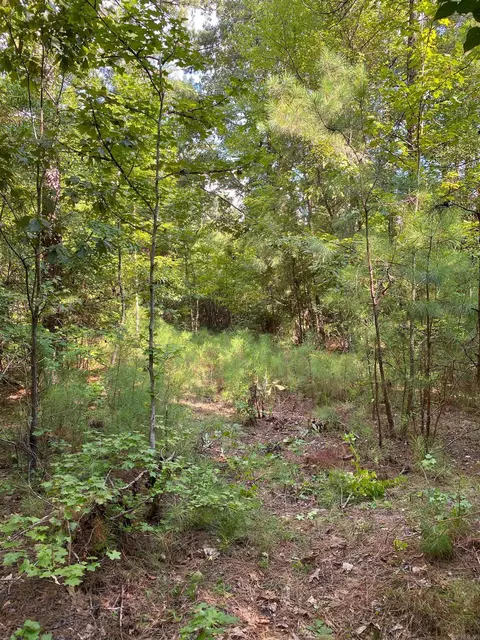 tbd Ouachita 51, Camden, AR 71701