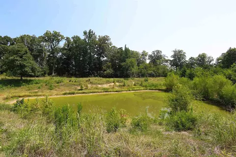 View/Area - 80 Parliment Hl, Mount Ida, AR 71957 photo 2 of 7