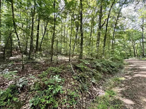 00 Red River Rd, Fox, AR 72051 photo 3