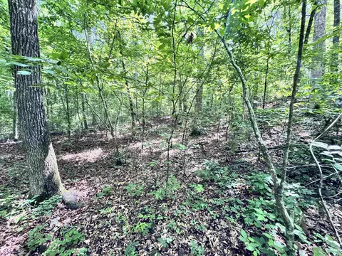 00 Red River Rd, Fox, AR 72051 photo 4