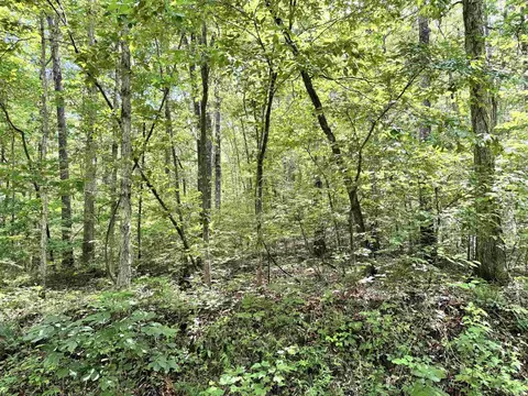 00 Red River Rd, Fox, AR 72051 photo 5