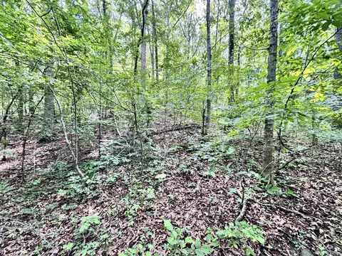 00 Red River Rd, Fox, AR 72051 photo 2