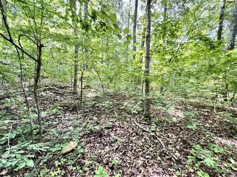 00 Red River Rd, Fox, AR 72051 photo 6