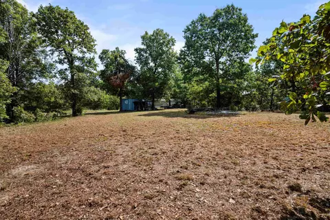 113 Brookhaven Trl, Ash Flat, AR 72513 photo 23