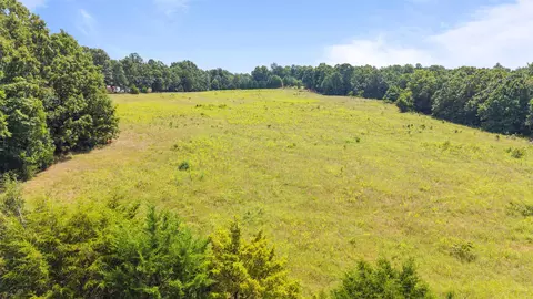 113 Brookhaven Trl, Ash Flat, AR 72513 photo 3