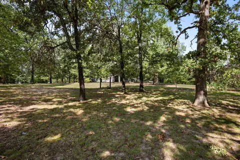 113 Brookhaven Trl, Ash Flat, AR 72513 photo 30