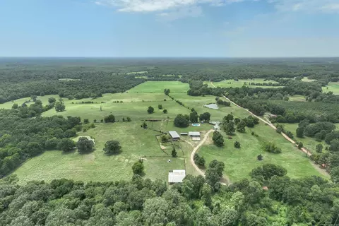 View/Area - 137 Pickering Dr, Horatio, AR 71842 photo 3 of 6