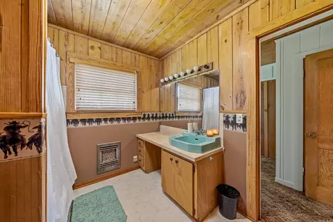 Bath - 137 Pickering Dr, Horatio, AR 71842 photo 1 of 5