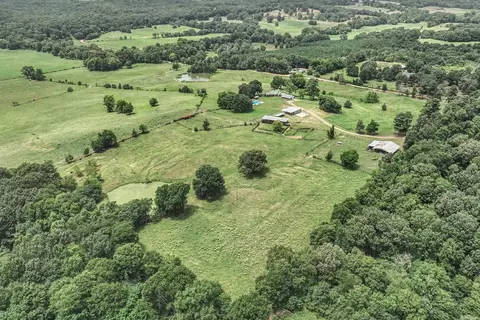 View/Area - 137 Pickering Dr, Horatio, AR 71842 photo 2 of 6