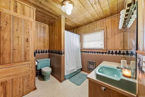 Bath - 137 Pickering Dr, Horatio, AR 71842 photo 4 of 5