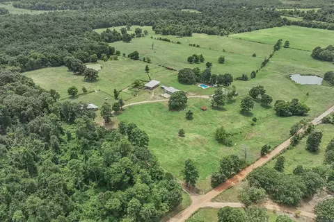 View/Area - 137 Pickering Dr, Horatio, AR 71842 photo 4 of 6
