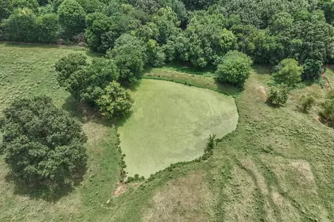 Other - 137 Pickering Dr, Horatio, AR 71842 photo 17 of 17