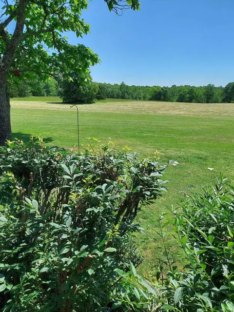 Exterior - 3109 Red River Rd, Fox, AR 72051 photo 11 of 13