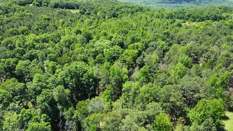 Other - 3109 Red River Rd, Fox, AR 72051 photo 9 of 15
