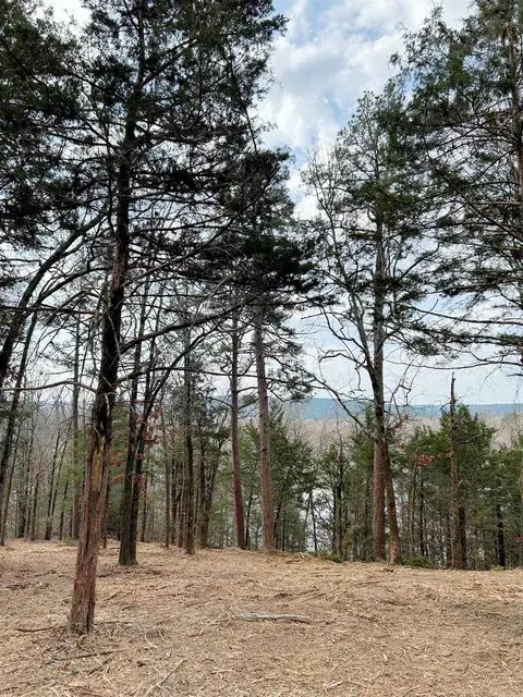 00 Eagle Dr, Perryville, AR 72126 photo 5