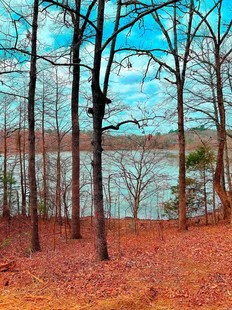 00 Eagle Dr, Perryville, AR 72126 photo 2