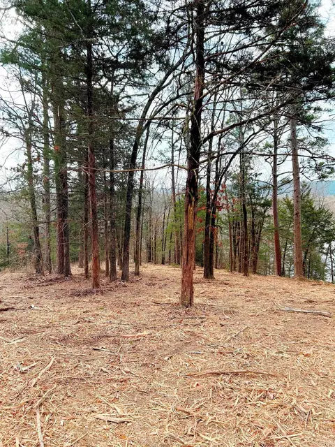 00 Eagle Dr, Perryville, AR 72126 photo 11