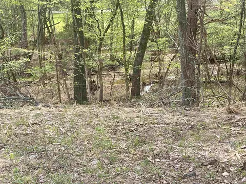 tbd Rainbow Dr, Hardy, AR 72542 photo 3