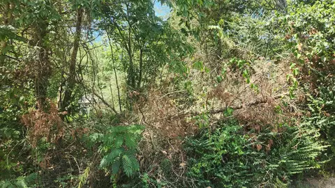 112 Lois Ln, Mount Ida, AR 71957 photo 9