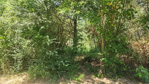 112 Lois Ln, Mount Ida, AR 71957 photo 7