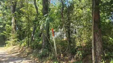 112 Lois Ln, Mount Ida, AR 71957 photo 10