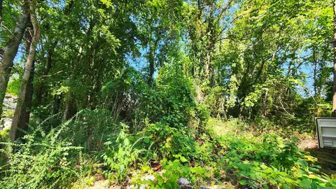 112 Lois Ln, Mount Ida, AR 71957 photo 4