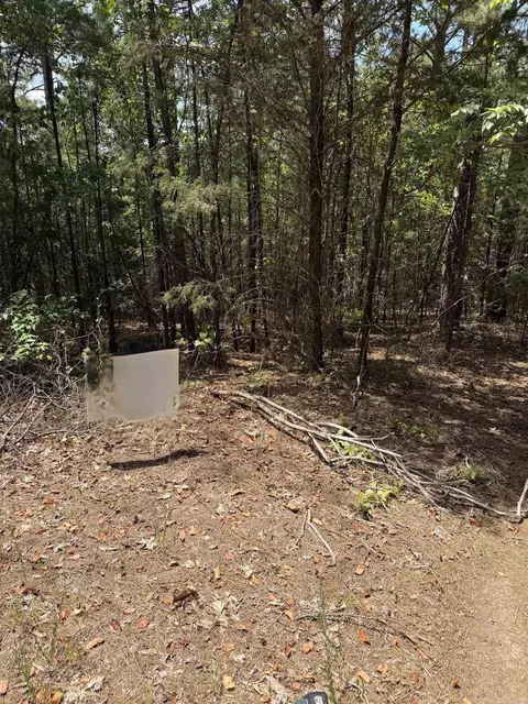 0 Sandy Flat Rd, Shirley, AR 72153 photo 3