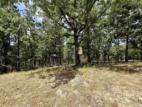 0 Corinth Rd, Ash Flat, AR 72513 photo 21