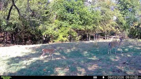 0 Corinth Rd, Ash Flat, AR 72513 photo 24