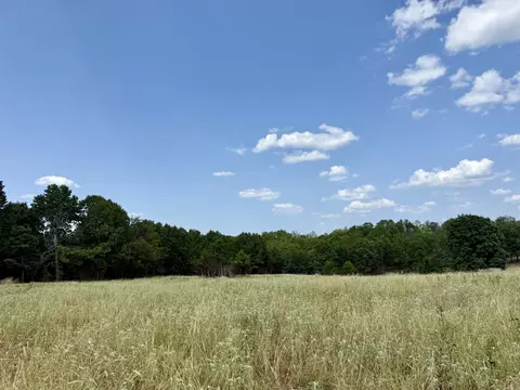0 Corinth Rd, Ash Flat, AR 72513 photo 15