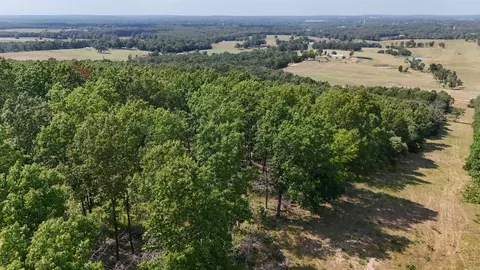 0 Corinth Rd, Ash Flat, AR 72513 photo 12